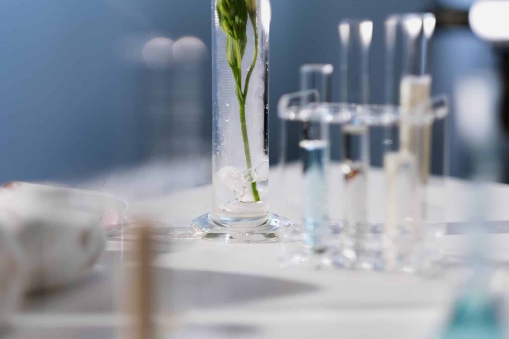 Green flower in a test tube in the laboratory